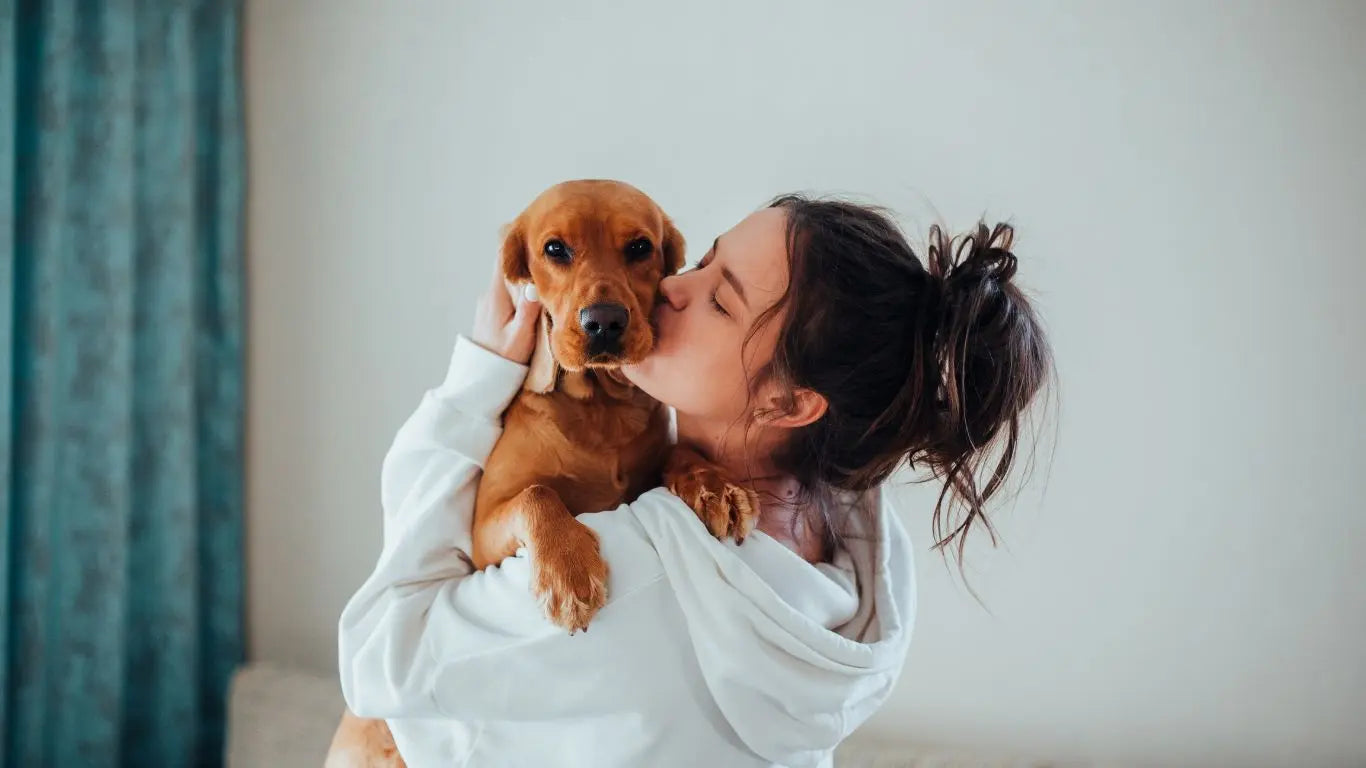 Hund-zieht-ein-Die-ultimative-Checkliste Puplando