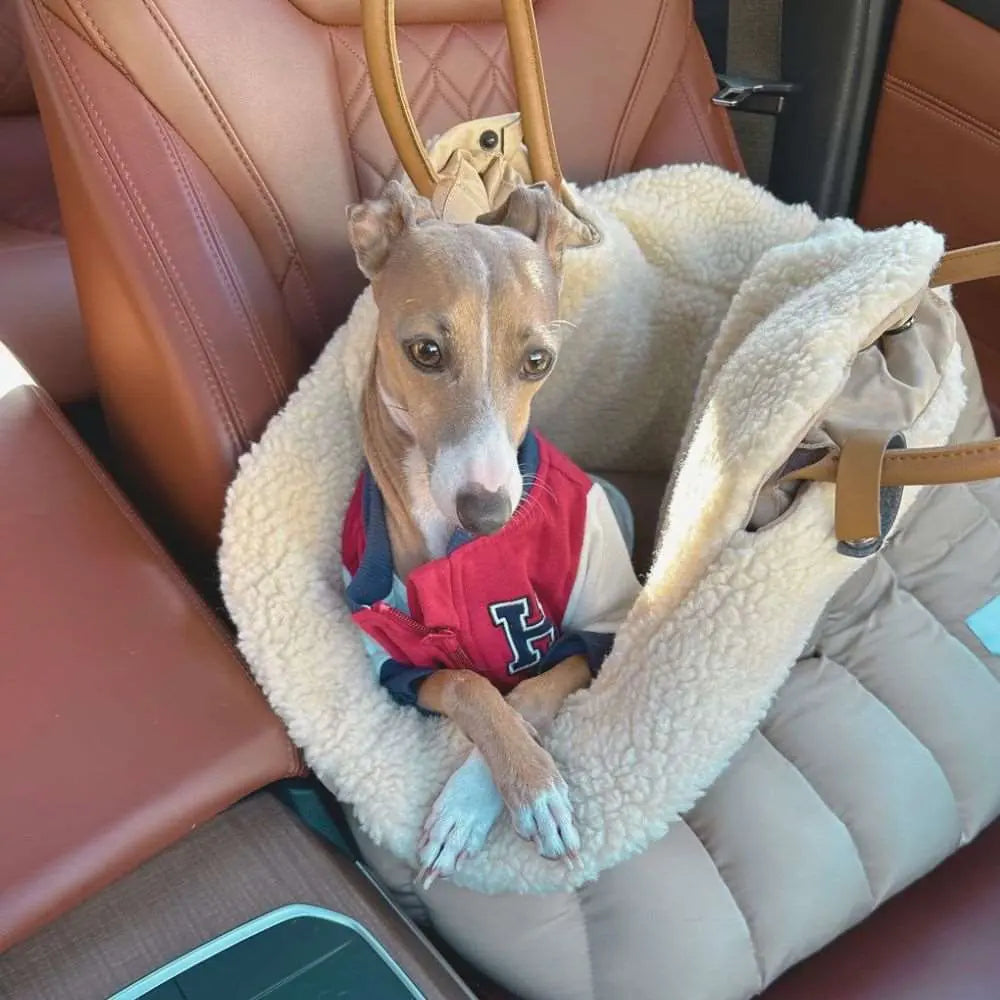 Autositz-Taschenset mit Teddyfüllung in Sandfarbe - Fur & Whiskers - Puplando