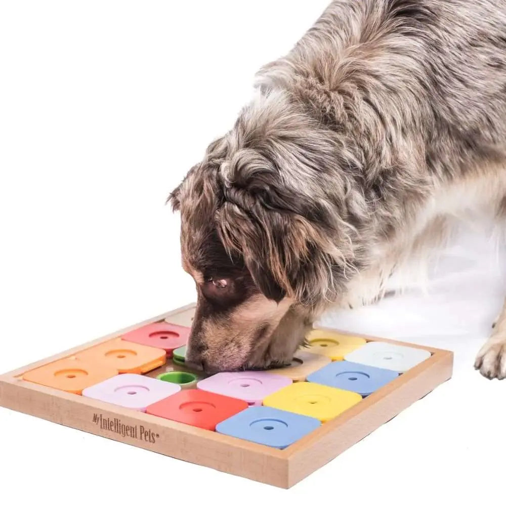 SUDOKU - interaktives Puzzle für Hunde - My Intelligent Dogs - Puplando