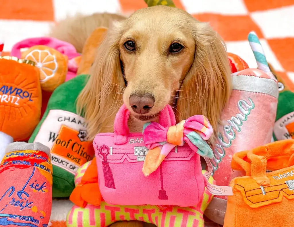 Haute Diggity Dog Puplando