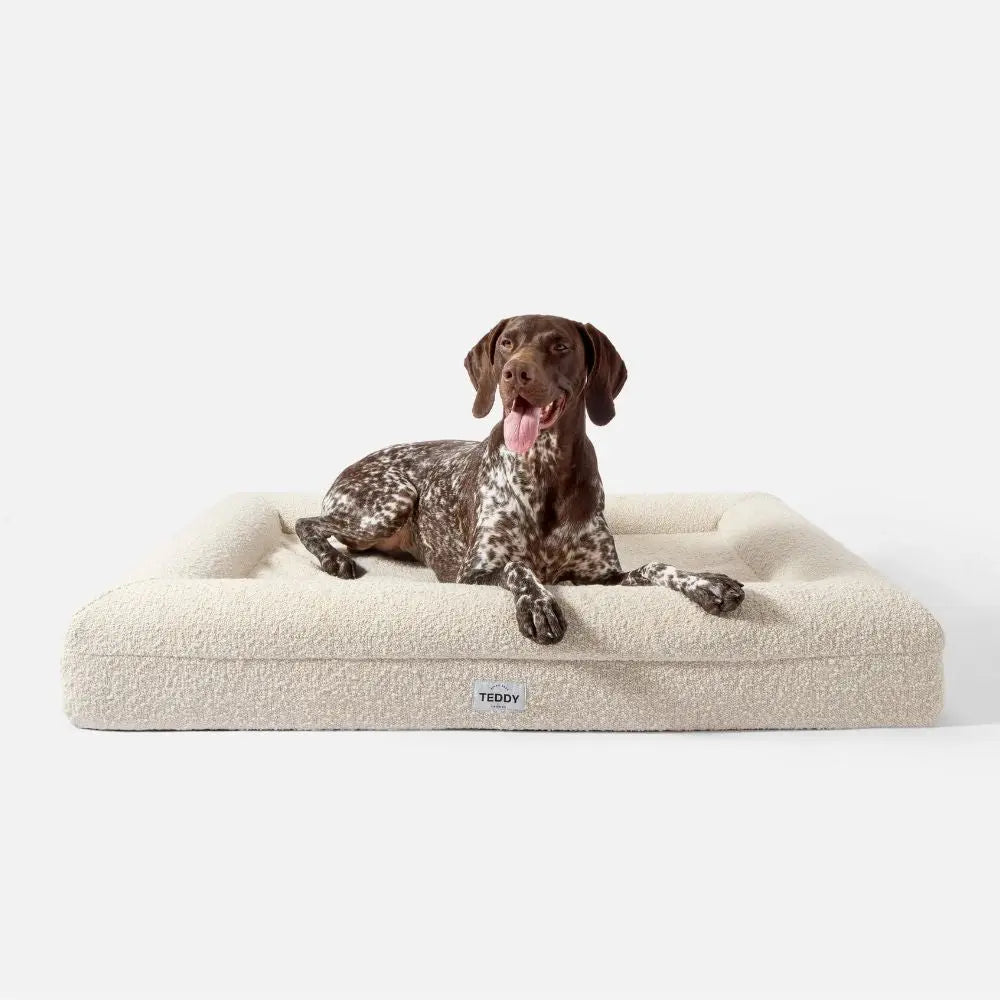 Luxuriöse Hundebetten für anspruchsvolle Haustierliebhaber Puplando