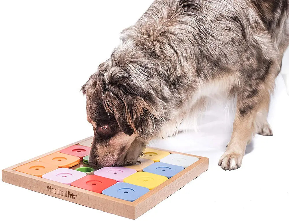 My Intelligent Dogs Puplando