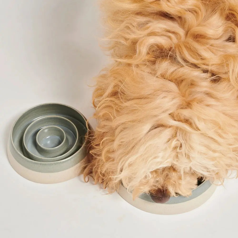 Stilvolle Hundenäpfe und Fütterungslösungen für dein Haustier Puplando