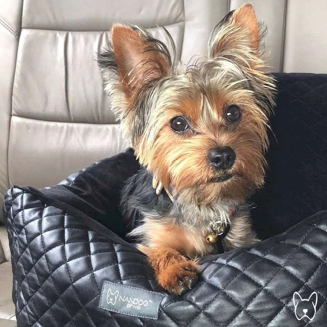 Autositz aus gestepptem veganem Leder - Nandog Pet Gear - Puplando