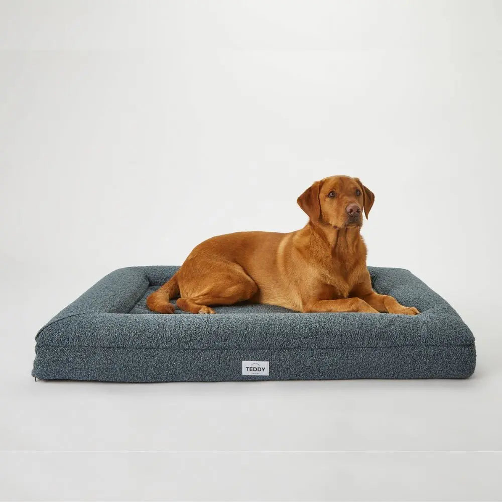 Bouclé waschbare Hundebett Dunkelgrau - Teddy London Teddy London
