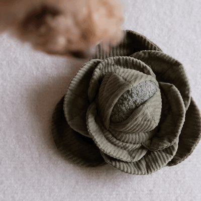 Cabbage Pop Enrichment Spielzeug - Lambwolf Collective Lambwolf Collective