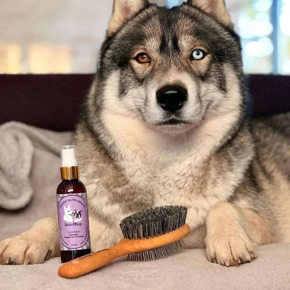 Cashmere Nutri Repair Lotion - Dexter & Mango - Puplando