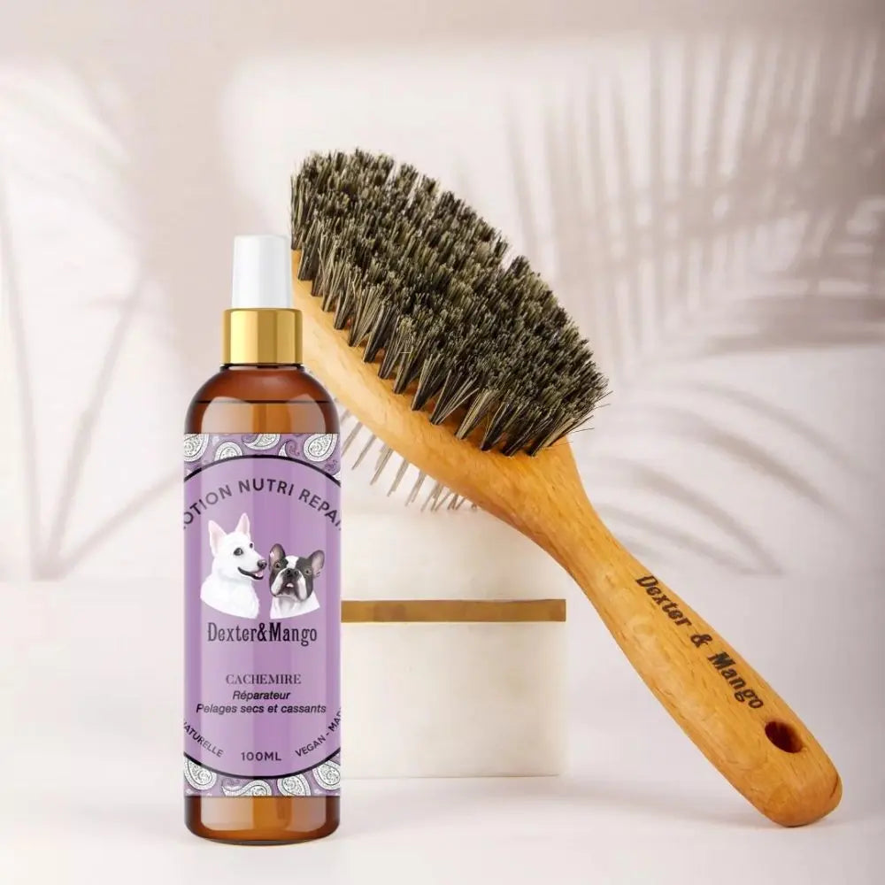 Cashmere Nutri Repair Lotion - Dexter & Mango - Puplando