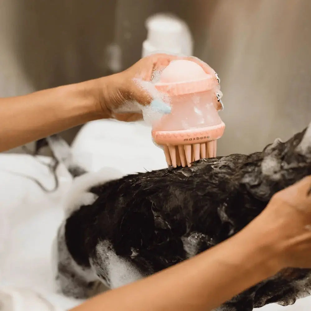 Deep Cleanse Shampoo-Dosierbürste für Hunde - Maxbone - Puplando