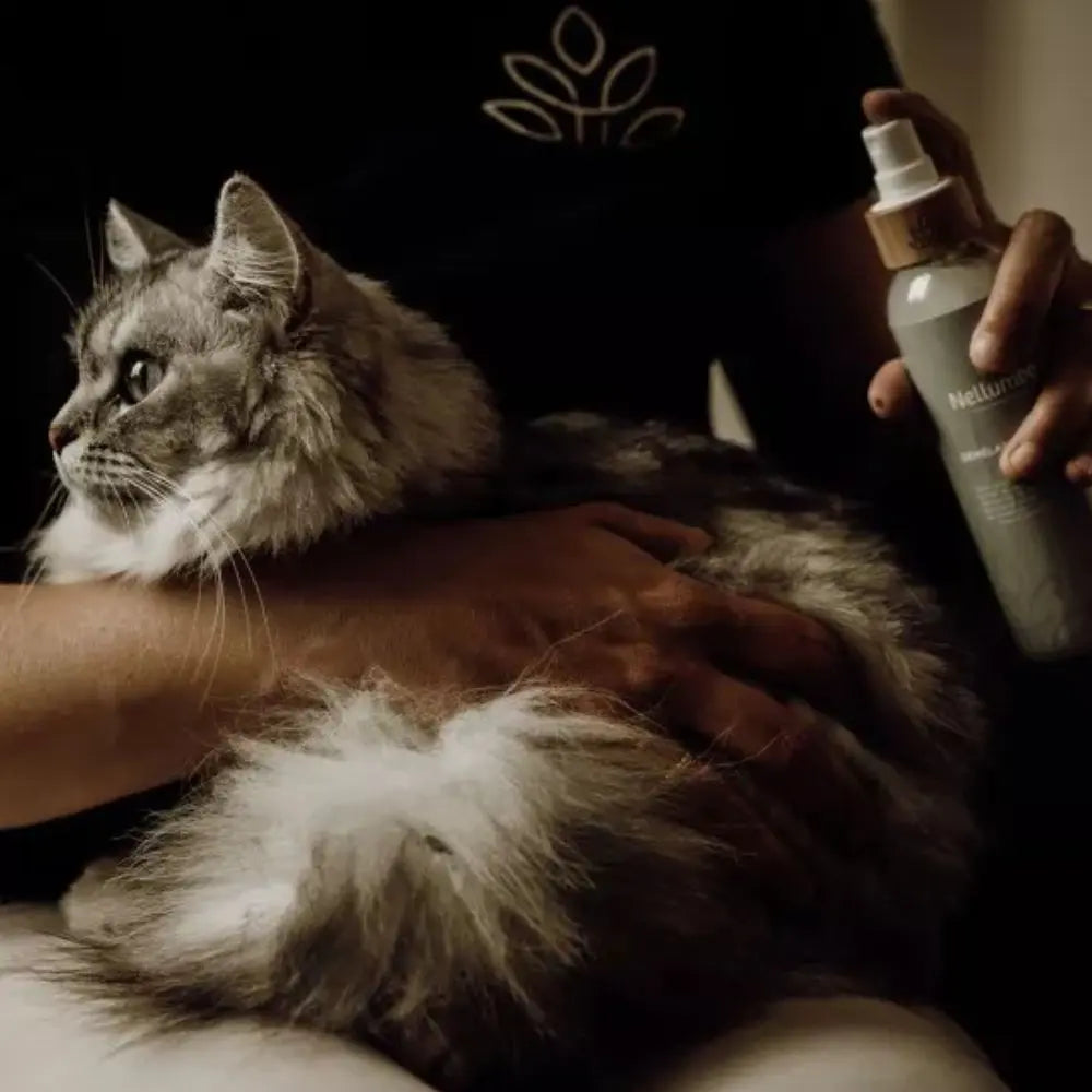 Glänzender Entwirrer / Detangler - Nellumbo - Puplando