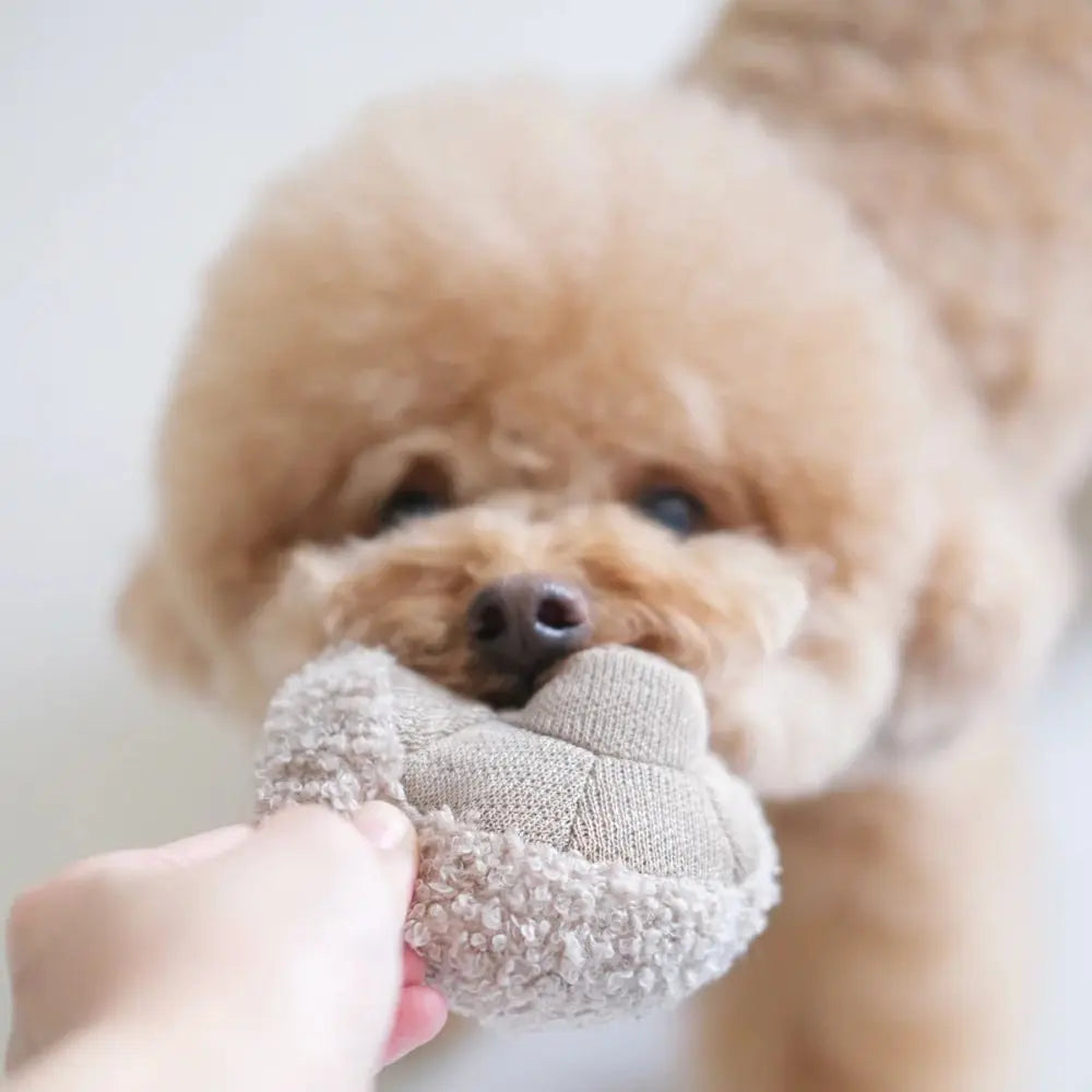 Farmer's Market Enrichment Hundespielzeug - Lambwolf Collective Lambwolf Collective