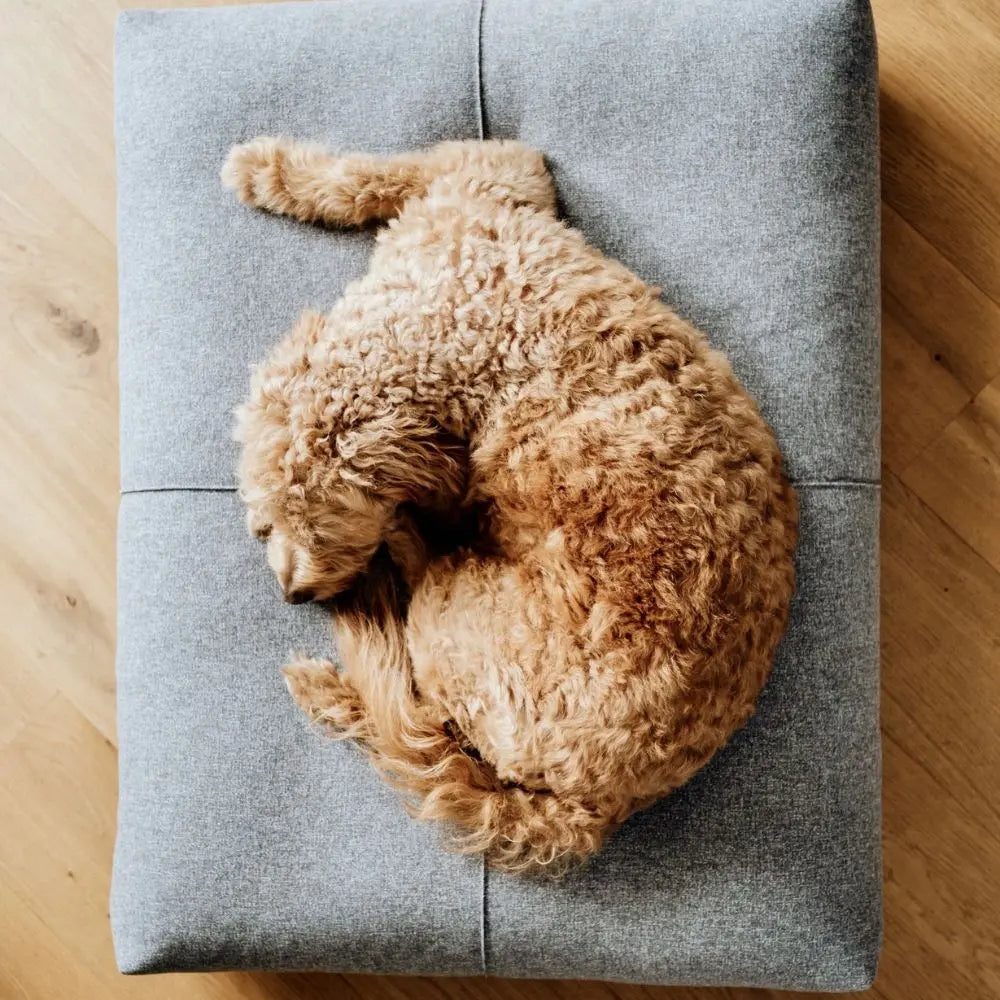 Finno Hundekissen Grau - Labbvenn Labbvenn