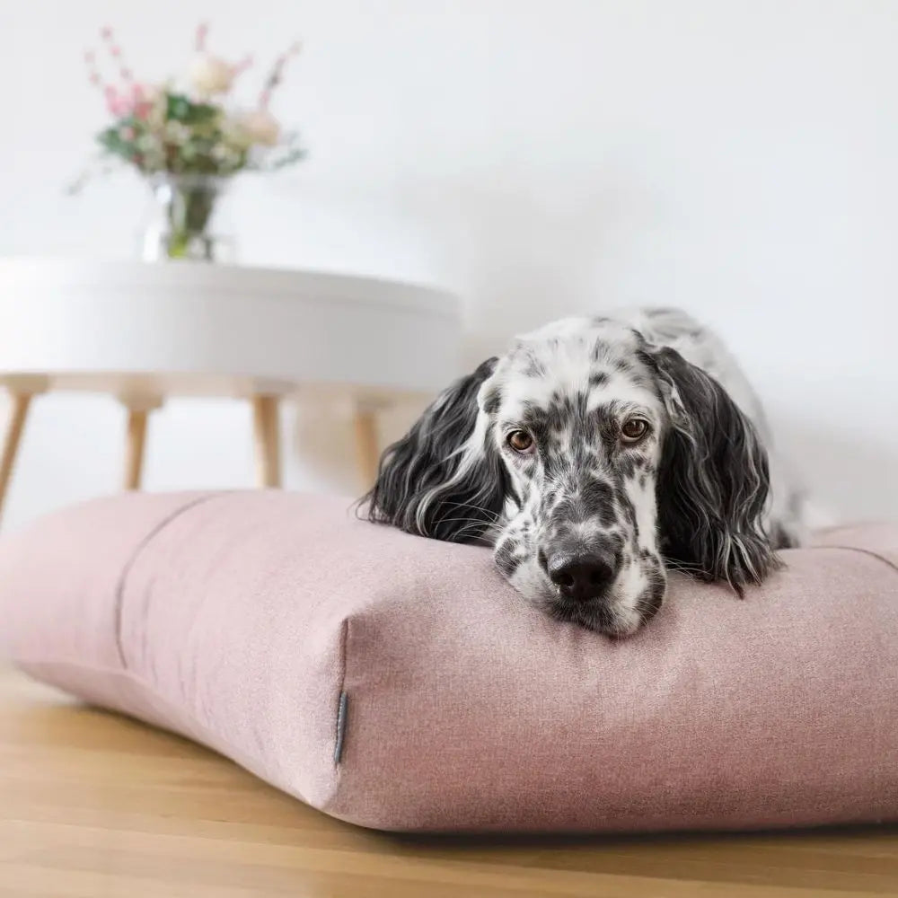 Finno Hundekissen Rosa - Labbvenn Labbvenn