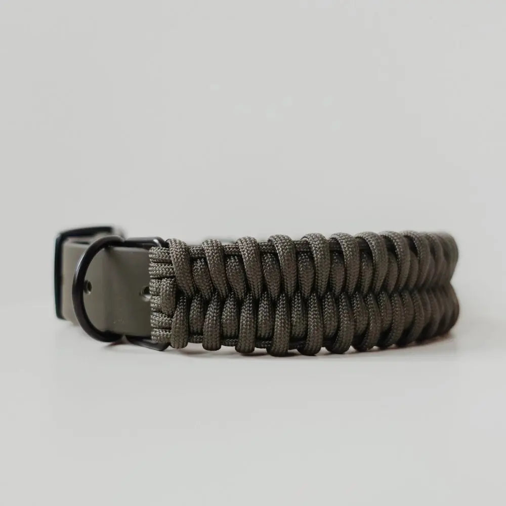 Fossil Halsband Dunklegrün - Lambwolf Collective Lambwolf Collective