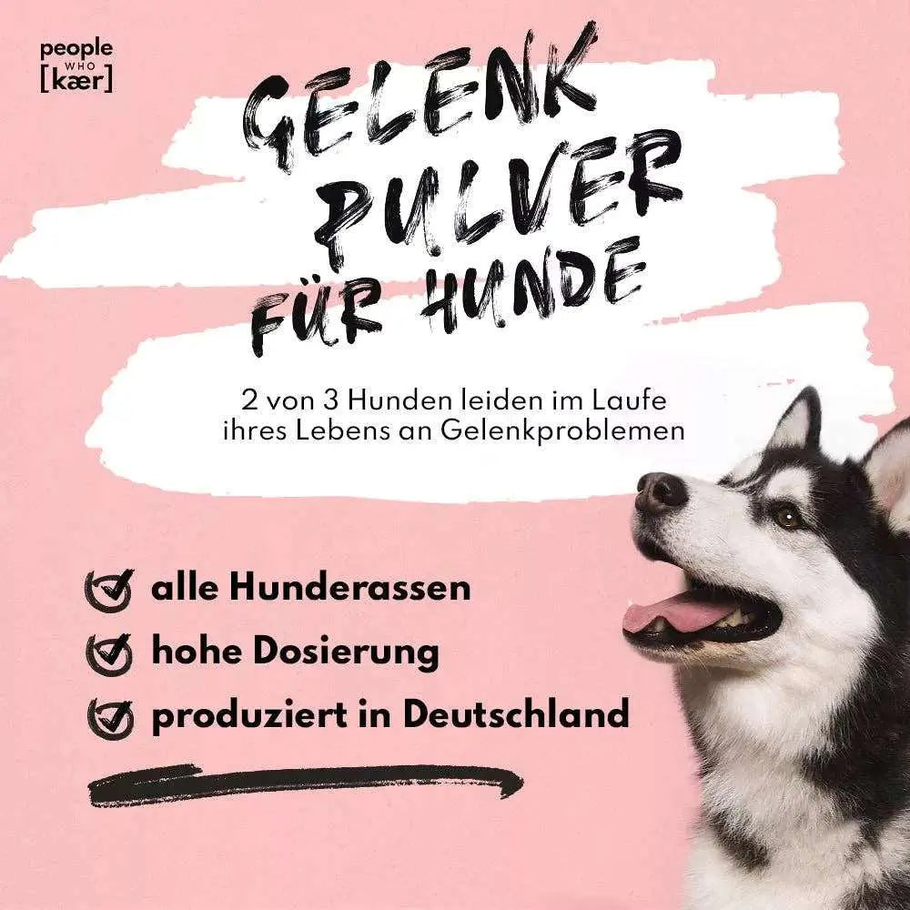 Gelenkpulver für Hunde - Glucosamin, Grünlippmuschel & Kurkuma  - people who kaer - Puplando