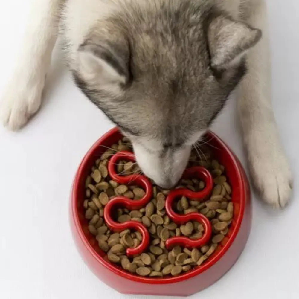 Großer Slowfeeder Fressnapf Grau - Inooko Inooko