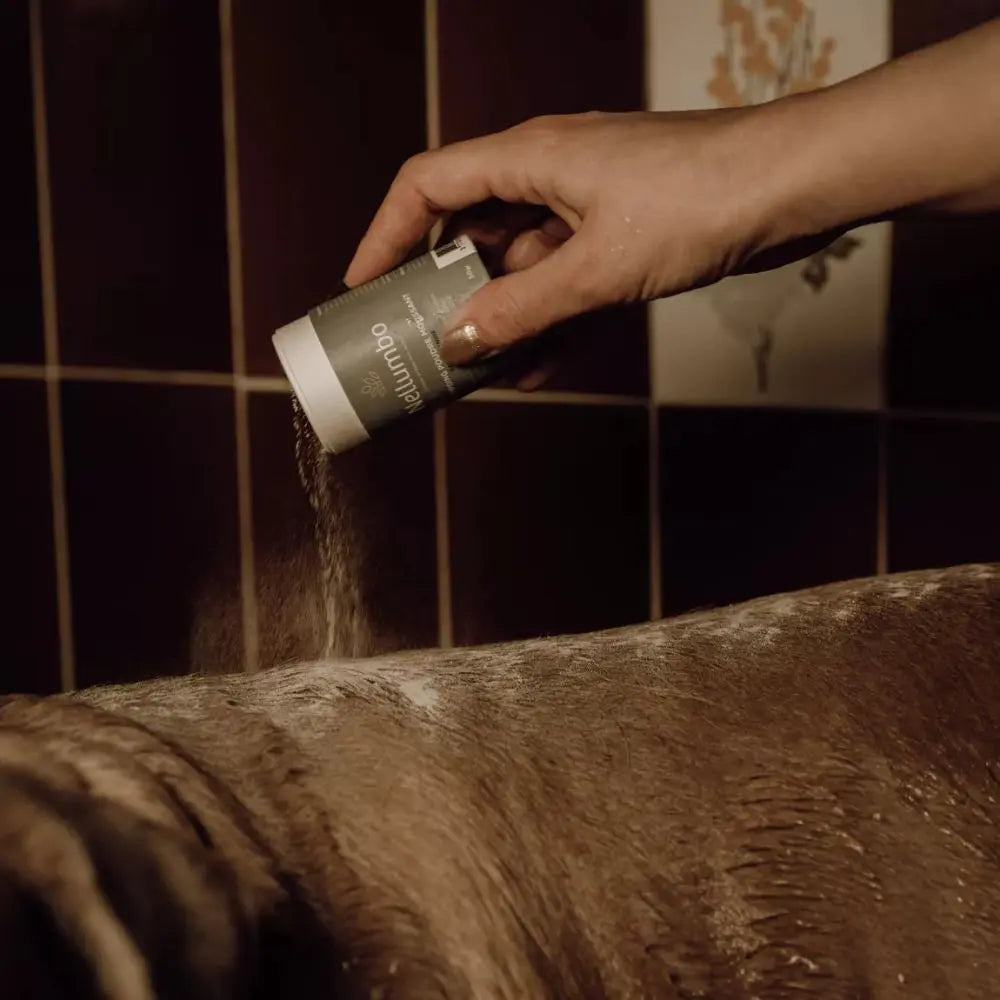 Hundeshampoo Pulver - Nellumbo - Puplando