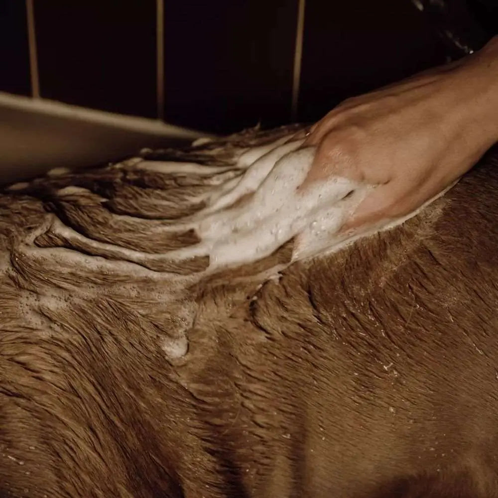 Hundeshampoo Pulver - Nellumbo - Puplando