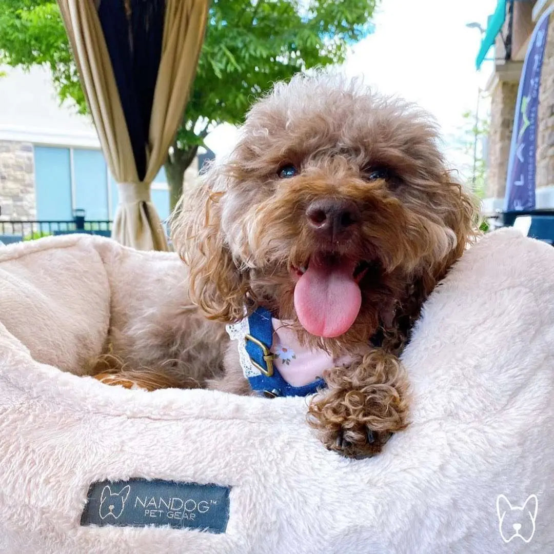 Ivory Cloud Autositz - Nandog Pet Gear - Puplando