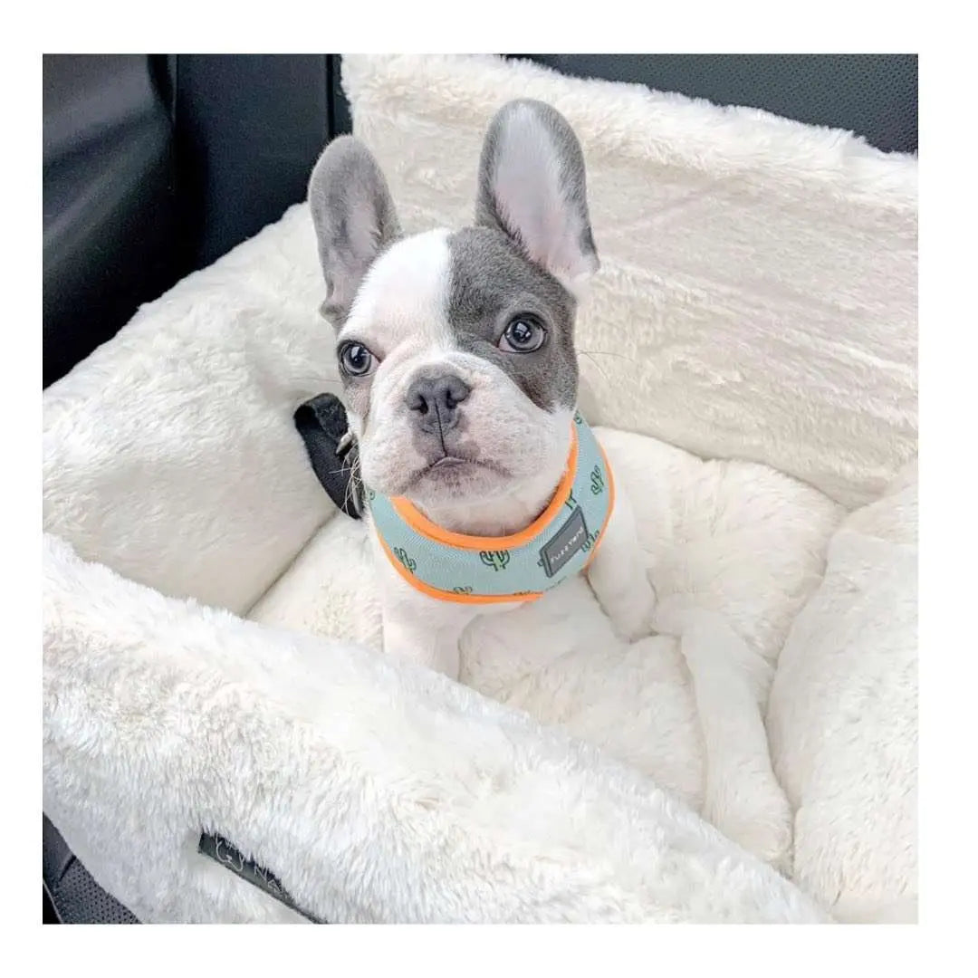 Ivory Cloud Autositz - Nandog Pet Gear - Puplando