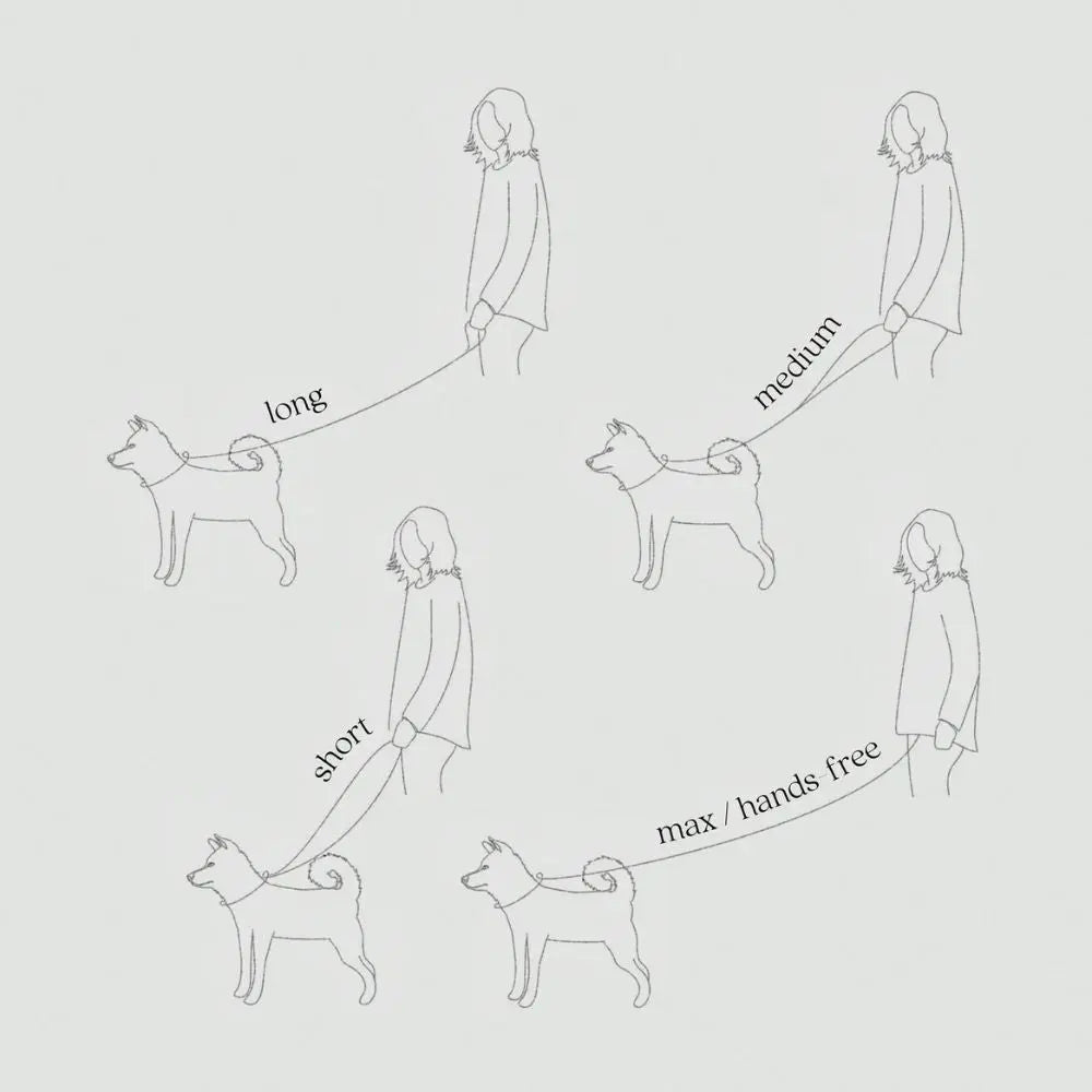 Mellem X Sicherheits-Hundeleine - Lambwolf Collective Lambwolf Collective