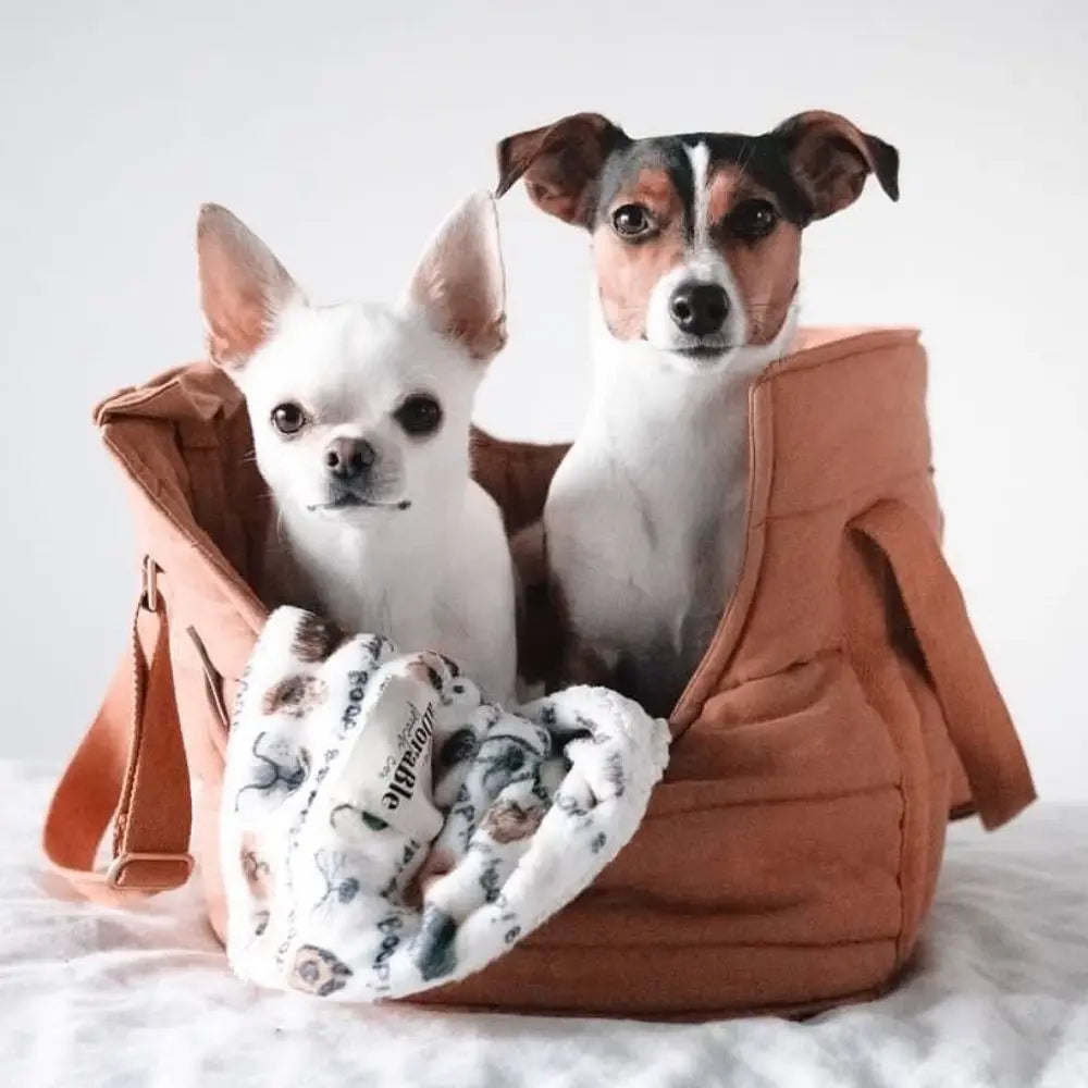 RIO Braune Hundetasche - tadazhi tadazhi