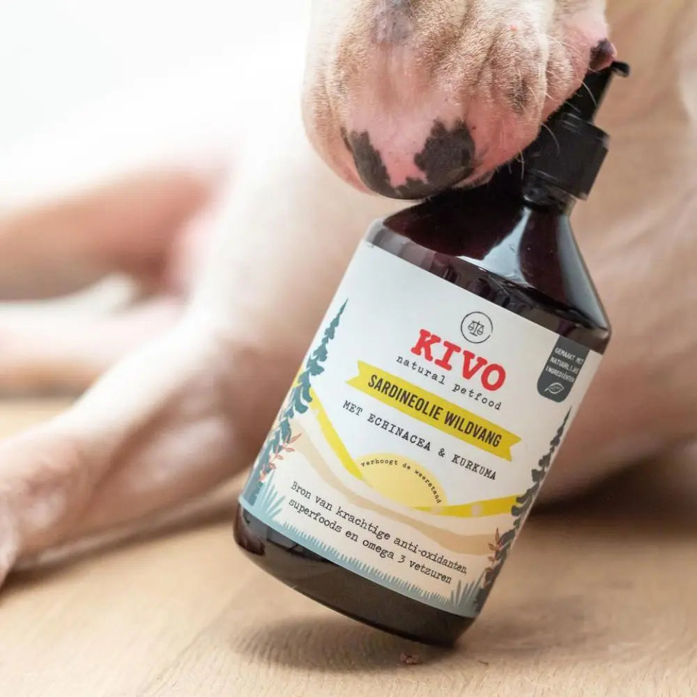 Sardinenöl aus Wildfang- Echinacea & Kurkuma - Kivo Petfood Kivo Petfood