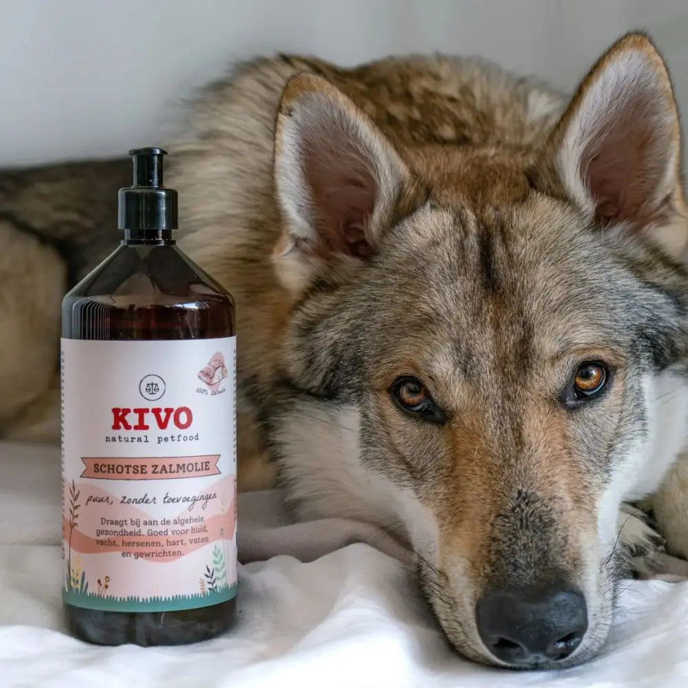 Schottisches Lachsöl - Kivo Petfood Kivo Petfood