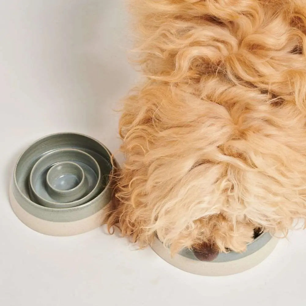 Slow Feeder aus Keramik - Weiss - Pawness - Puplando