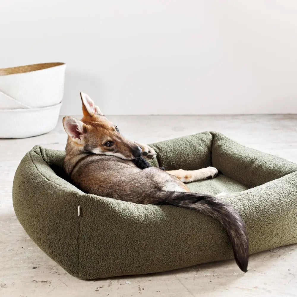 Teddy orthopädisches Hundebett Grün - Laboni Laboni