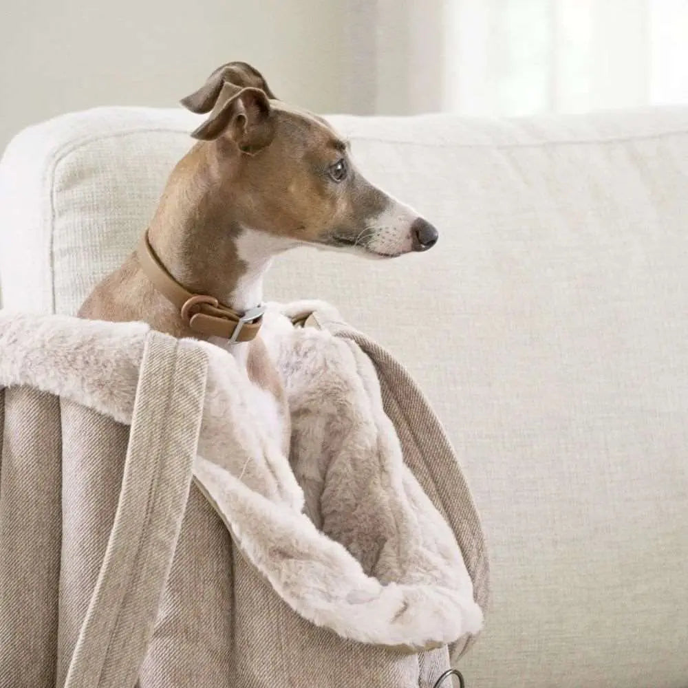 Tragetasche mit Teddyfüllung in Beige - Fur & Whiskers - Puplando