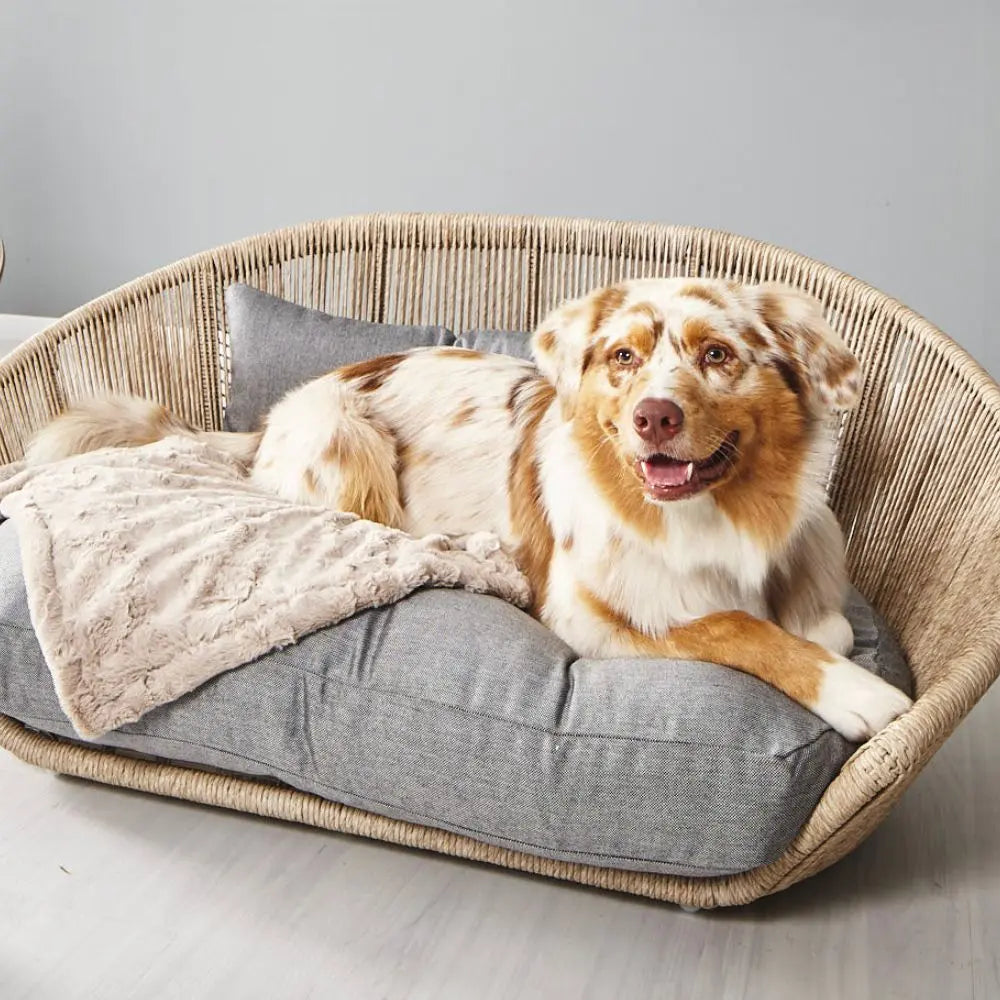 Vogue Design-Outdoor-Hundebett Smooth Grau - Laboni Laboni