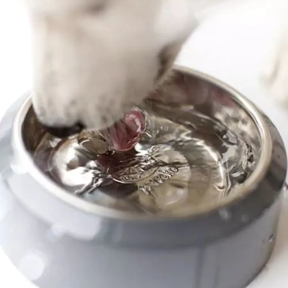 YOOMY Hundenapf in Grau - Inooko Inooko